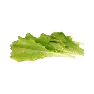 Baby leaf