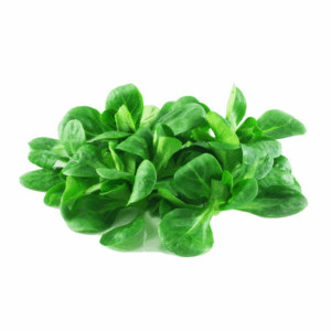 Valeriana