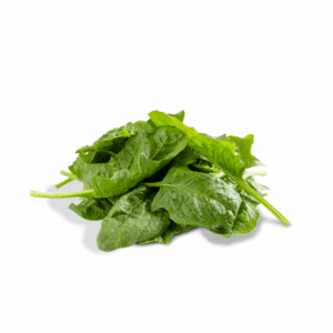 Spinacino