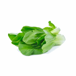 Bieta