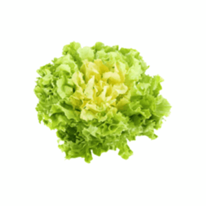 Scarola