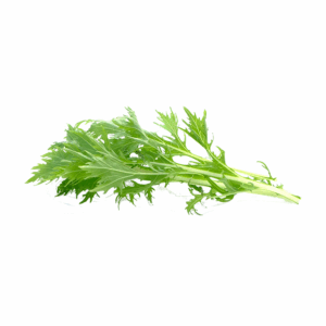 Mizuna
