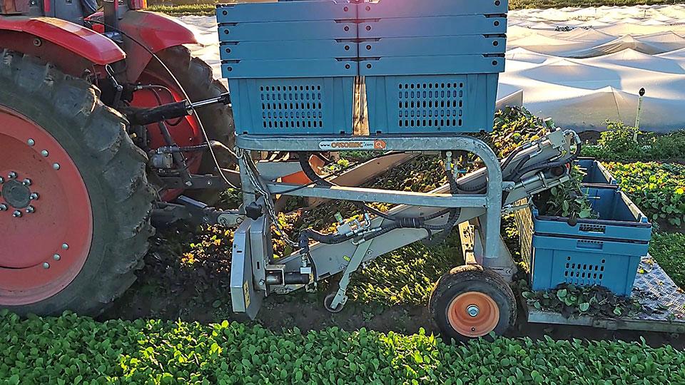 Ortomec 2000 harvester