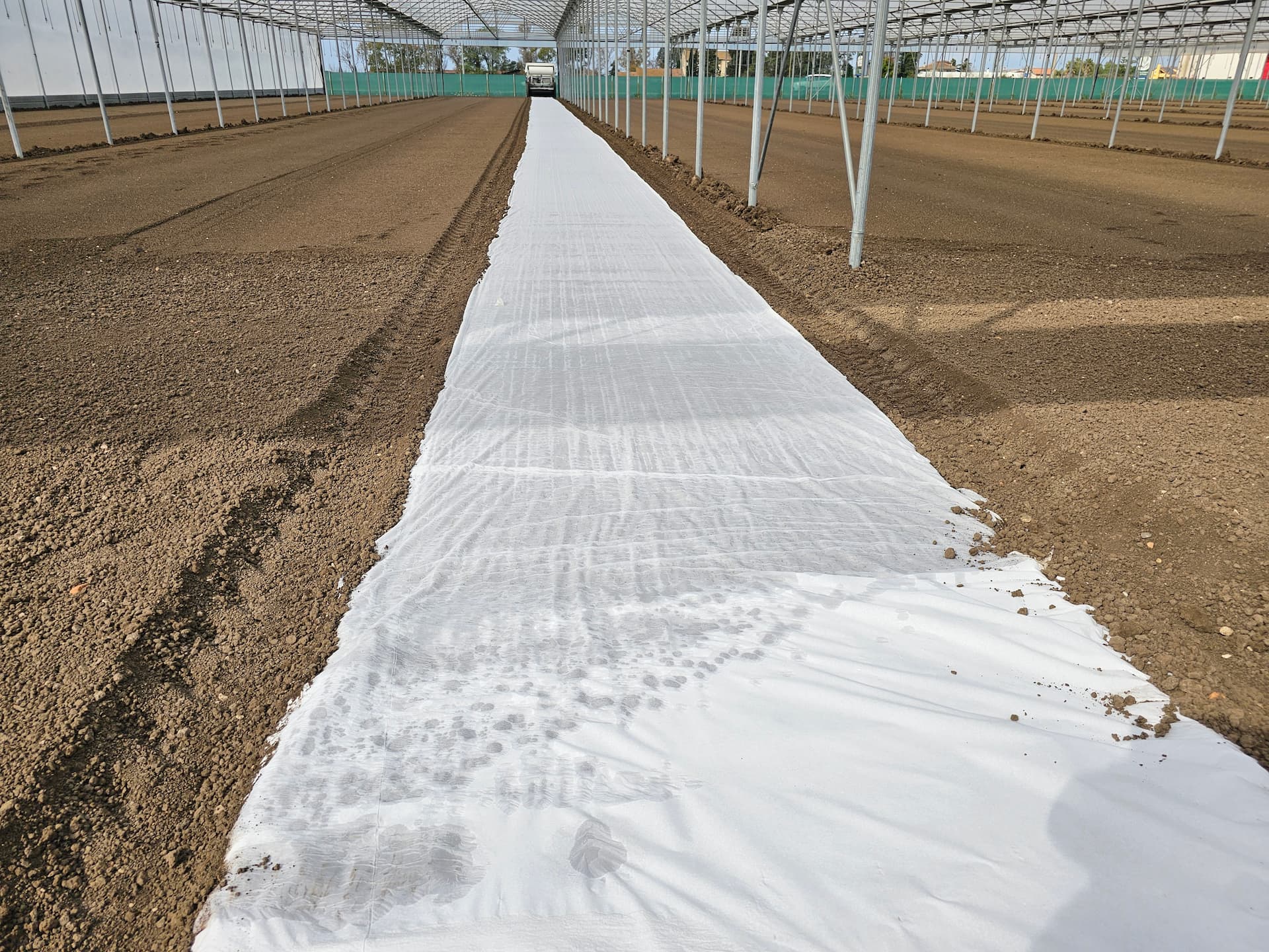 paper-seed-2