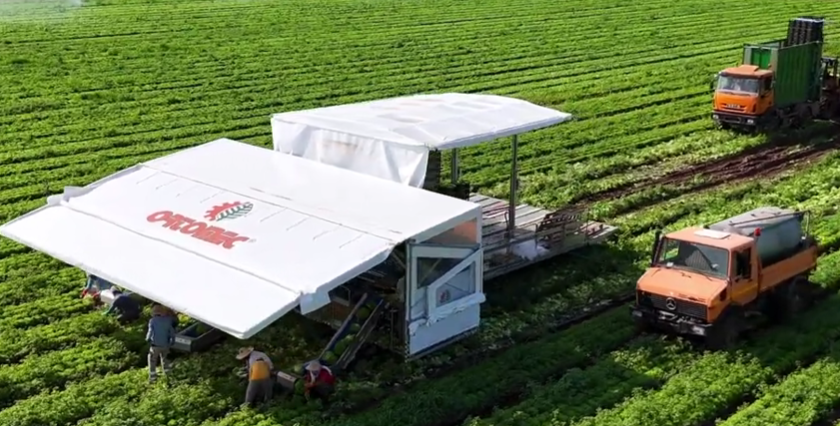 Direct management and care of the product: from field to table